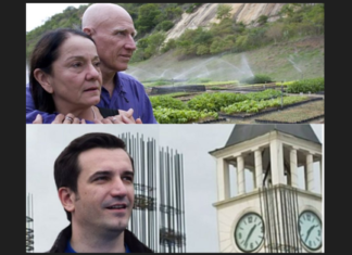 Çifti i 2 milionë pemëve në Brazil dhe pema e 1 miliontë e kryebashkiakut të betonit