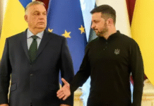 Skandali 100 milionë euro me mikun e Zelenskyt, Hungaria thirrje BE-së: Ndaloni financimin për Ukrainën