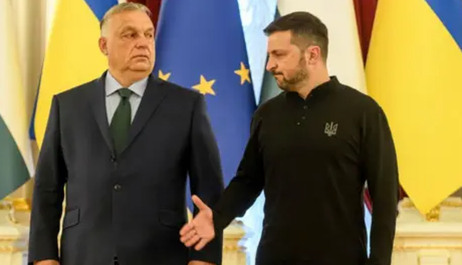 -900-0-1763121029xsdfsf-595