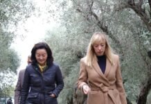 SPAK gati fletë-arrestin për Frida Krifcën, hajduten e fondeve të BE-së