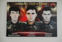 Lavdi Zahirit, Hakifit, Edmondit dhe gjithë dëshmorëve të kombit shqiptar!