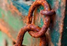 Prej tan drynave qi e robnojnë shpirtin, ai i zemrës asht ma i randi