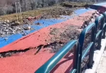 Palloshit të Belinda Ballukut i shembet edhe Auto Moto, e ardhmja për gara të nivelit të Formula 1