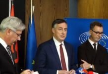 “Politika të mos ndërhyjë në drejtësi”- McAllister: Lufta kundër korrupsionit nuk është në nivelin e kënaqshëm