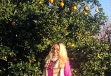 Po u gjete këtu je turpi i kësaj bote